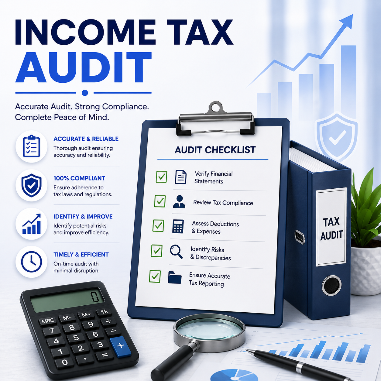 Income Tax Audit
